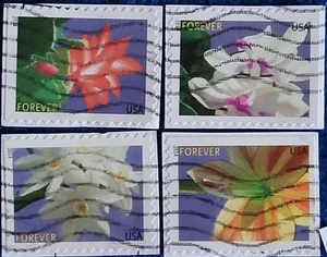 US Stamps 2014 Winter Flowers Used Forever On Paper Set of 4 #4862-4865 - Picture 1 of 1