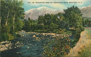 Postal Mt Washington Ammonoosuc River White Mountains New Hampshire - Imagen 1 de 2