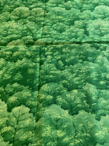 1/2 Yd Green Trees by Diane Phalen Watercolors from Maywood Studio Cotton Fabric - Picture 1 of 5