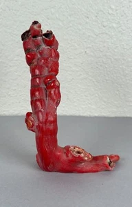 Old Red Rough Branch Coral Specimen 216g Deep Sea Buddhist Natural Healing #6 - Picture 1 of 8