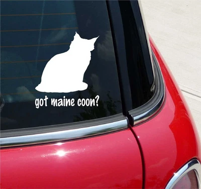 GOT MAINE COON? CAT GRAPHIC DECAL STICKER ART CAR WALL DECOR - Image 1 of 3