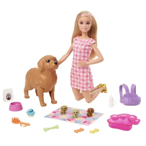 BARBIE NEWBORN PETS PLAYSET Doll with Dog, Color-Change Puppies & Accessories - Picture 1 of 10