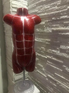 Manichino Busto Bimbo, Scultura, Anatomia, Istruzione, Studio Medico, Palestre - Foto 1 di 7