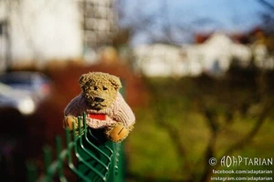 Carl Zeiss TESSAR 50/2.8 | Exakta Exa | Functional, sharp - SAMPLES #6967443 - Picture 1 of 14