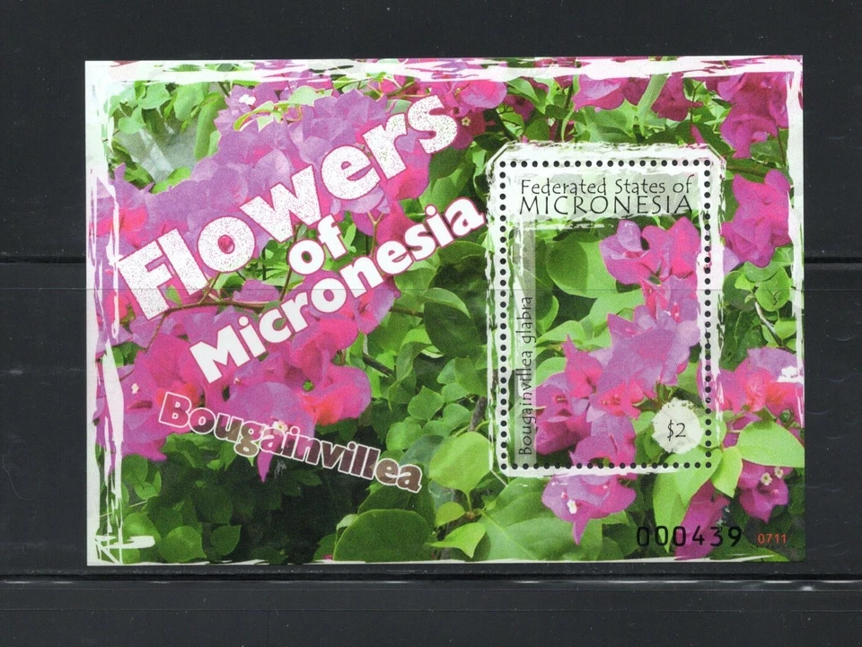 S0722 Micronesia 2007 flora flores buganvillas hoja mnh Foto 1 de 1