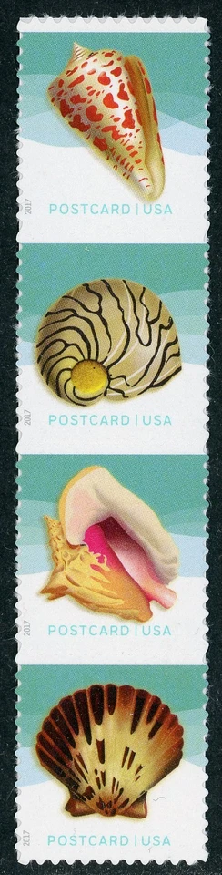 US Scott # 5163-5166 Seashells (2017) tira de 4 MNH ***ENVÍO GRATUITO*** Foto 1 de 1