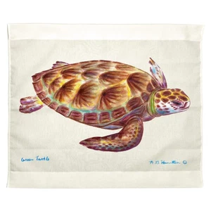 Colgante de pared exterior tortuga marina verde Betsy Drake 24x30 - Imagen 1 de 1