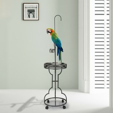 parrot stands for sale
