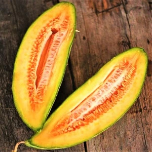 Banana Cantaloupe Seeds | Orange Casaba Melon Papaya Tropical Fruit Seeds 2024 - Picture 1 of 12