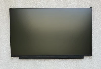 BOE 15.6" HD Mate WXGA LCD LED Pantalla 30Pines NT156WHM-N44 V8.0, *LEER* Foto 1 de 4