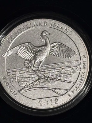 2018-P 5 oz .999 Burnished Silver ATB Cumberland Isl Seashore, Georgia -OGP&COA - Image 1 of 4