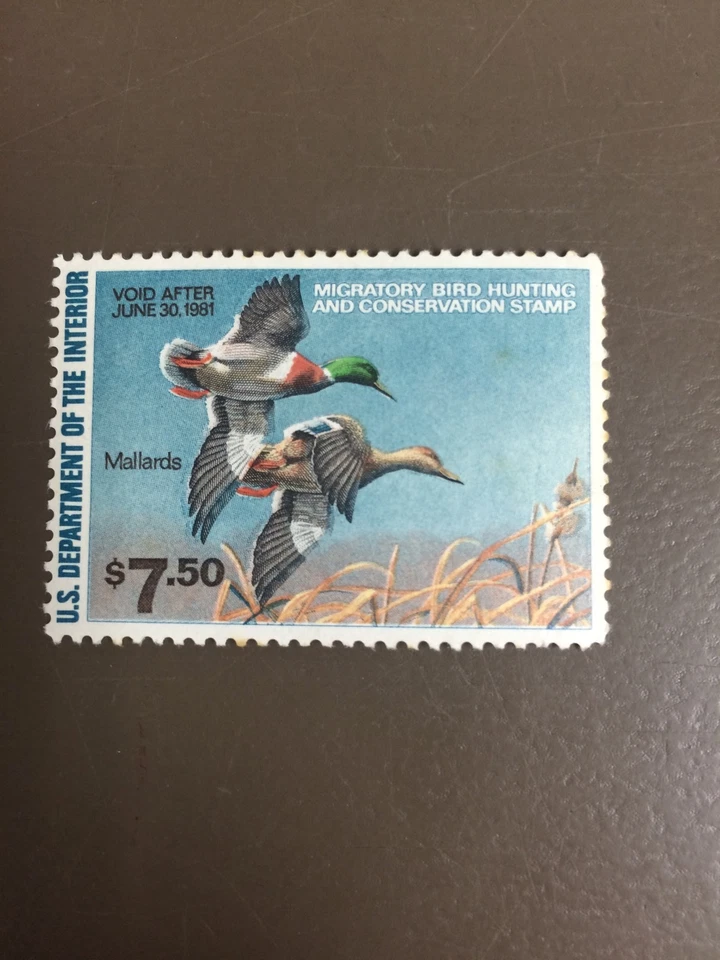 US RW47 Federal Duck Stamp - mint never hinged - very nice 1980 stamp - Image 1 of 1