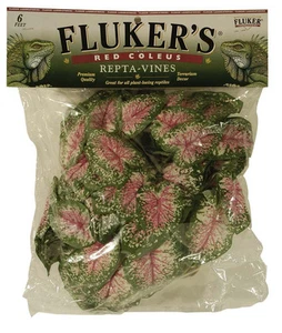 Fluker's Red Coleus Repta-Vines Green, Red 1ea/6 ft - Picture 1 of 1