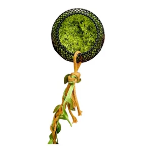 Climbing Hideouts for Small Geckos Realistic Tree Easyly Setups - Picture 1 of 8