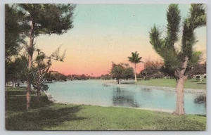 Sunny Scenes Hand Colored Caribbean Pines Beside Quiet Waters Tropical Postcard - Picture 1 of 2