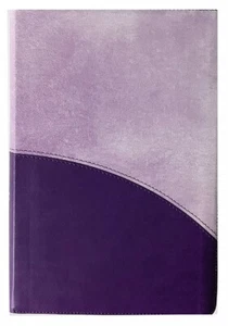 Holman CSB Rainbow Bible; 2017; Plum Leather Touch; 10 Point Font - Imagen 1 de 6