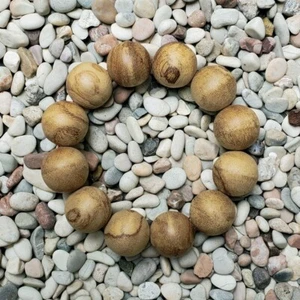Nice 20 MM Papua Aquilaria Agarwood Bracelet 13 Grams Aloeswood 12 Beads #64 - Imagen 1 de 5