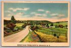 Greetings North Branch New York Country Road Forest Linen Vintage UNP Postcard