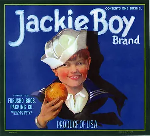 *Original* JACKIE BOY Navy Sailor Sebastopol Ca Apple Crate Label NOT A COPY - Foto 1 di 1