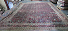 Antique Agra India Area Rug carpet Mahi design 13' x 16' Hand Knotted Wool Pile