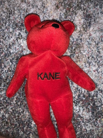 Vintage Kane 1999 WWF Attitude Bears Plush Beanie Bear Doll Figure WWE Cover