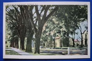 Potsdam, NY.  The Elms on Elm Street  - 1920s Postcard - Picture 1 of 2
