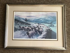 Robert Nichols Painting Shepherd & Sheep Limited Edition Framed Print Signed - Picture 1 of 4