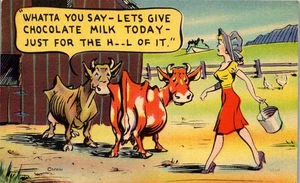 Vintage Comic Humor Postcard Pretty Lady Milking A Cow ~ Chocolate Milk Today - Picture 1 of 3