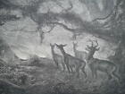 FIRE HUNTING Deer Animals in America - 1878 Fine Quality Print
