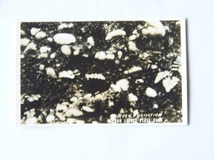 Garrettsville Nelson Ledges State Park Ohio OH RPPC foto real formación rocosa - Imagen 1 de 2