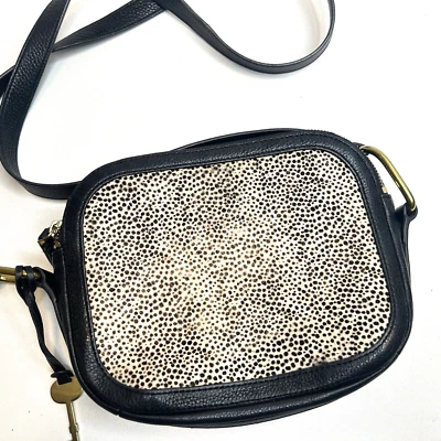 Bolsa tiracolo Edgy FOSSIL preta Elle estampa animal couro de vaca - Imagem 1 de 4