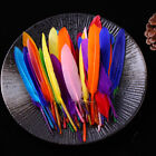 50Pcs 10-15cm Small Plumes Turkey Pointers Quill Feather for Fashion Decorations