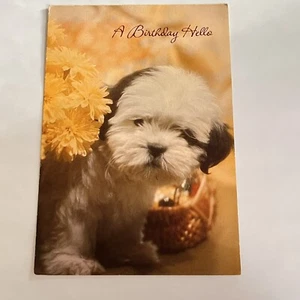 Tarjeta de hola de cumpleaños de colección cachorro foto embajador tarjetas años 70-80 - Imagen 1 de 6