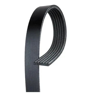 Cinturón serpentino genuino ACDelco para Freightliner Columbia 2003 2004 para 89034171 Foto 1 de 4