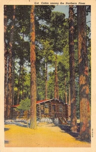 Postal de lino vintage de Cabin Among Northern Pines Minnesota - Imagen 1 de 2