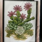 Flowering Cactus Cross Stitch Kit Design Works NIP 5x7