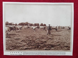 HELIOGRAVURE - HONGRIE - Imagen 1 de 1