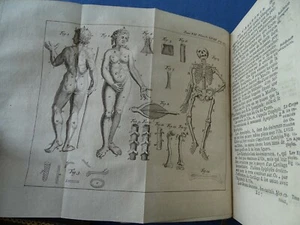 MASSUET-SCIENCE DES PERSONNES DECOUR-TOME VII-3 VOL-GUERRA-ANATOMIA-MESTIERI.... - Picture 1 of 12