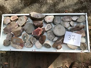 Sammlung mit 37 Achaten, Bergkristallen Jaspisen usw Welt aufgeschnitten (Ac37) - Bild 1 von 16
