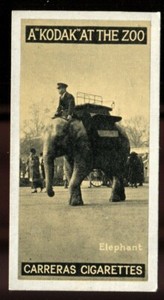 Tobacco Card, Carreras, KODAK AT THE ZOO, A Series, 1924, Elephant, #33