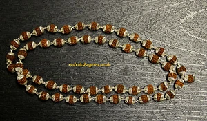 Rosario Rudraksha Rudraksh Japa Mala con Gorra de Plata Meditación Hindú Yoga Hindú - Imagen 1 de 1