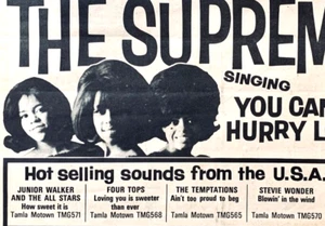THE SUPREMES vintage 1966 UK ADVERT YOU CAN'T HURRY LOVE Tamla Motown DIANA ROSS - Picture 1 of 2