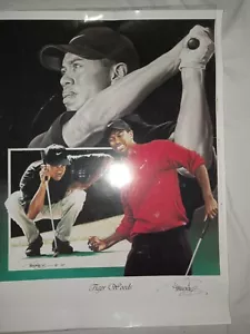 Vintage Tiger Woods Poster 24”x18” Golf Masters Winner - Picture 1 of 6