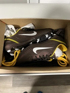 Nike Mercurial Vapor 1 RGN SE FG Firm Ground Soccer Cleat - Picture 1 of 12