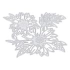 Enhance Your DIY Crafts with This Ocean Flower Series Frame Cutting Die