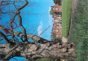 Postcard~ Ipswich, the South Front of Christchurch Mansion from Soane Street - Picture 1 of 2