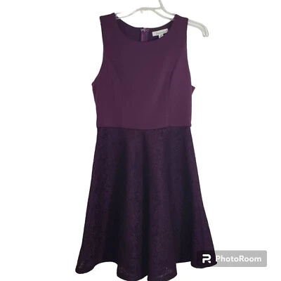 Nuevo con etiquetas Vestido Patinador Francesca's Púrpura Sin Mangas Encaje Calce y Acampanado Mediano  Foto 1 de 4