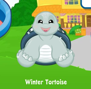 Webkinz Winter Tortoise Virtual Adoption Code Only Messaged Webkinz Seasonal Pet - Picture 1 of 1