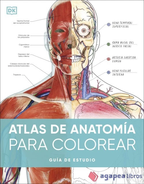 Atlas de anatomía para colorear. NUEVO. ENVÍO URGENTE (Librería Agapea) - Imagen 1 de 1