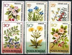 Romania 1993 SG#5501-6 Medicinal Plants Flowers MNH Set #C156 - Picture 1 of 1